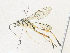  ( - CBG-A35182-B09)  @11 [ ] CreativeCommons - Attribution Share - Alike (2024) CBG Photography Group Centre for Biodiversity Genomics