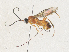  ( - CBG-A35182-C05)  @11 [ ] CreativeCommons - Attribution Share - Alike (2024) CBG Photography Group Centre for Biodiversity Genomics