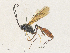  ( - CBG-A35182-D03)  @11 [ ] CreativeCommons - Attribution Share - Alike (2024) CBG Photography Group Centre for Biodiversity Genomics
