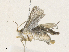  ( - CBG-A35182-G05)  @11 [ ] CreativeCommons - Attribution Share - Alike (2024) CBG Photography Group Centre for Biodiversity Genomics