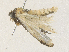  ( - CBG-A35183-C03)  @11 [ ] CreativeCommons - Attribution Share - Alike (2024) CBG Photography Group Centre for Biodiversity Genomics