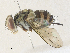  ( - CBG-A36740-G03)  @11 [ ] CreativeCommons - Attribution Share - Alike (2024) CBG Photography Group Centre for Biodiversity Genomics