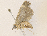  ( - CBG-A36740-H03)  @11 [ ] CreativeCommons - Attribution Share - Alike (2024) CBG Photography Group Centre for Biodiversity Genomics
