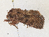  ( - CBG-A36742-F02)  @11 [ ] CreativeCommons - Attribution Share - Alike (2024) CBG Photography Group Centre for Biodiversity Genomics