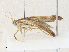  ( - CBG-A36757-E04)  @11 [ ] CreativeCommons - Attribution Share - Alike (2024) CBG Photography Group Centre for Biodiversity Genomics