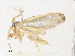  ( - CBG-A36757-E09)  @11 [ ] CreativeCommons - Attribution Share - Alike (2024) CBG Photography Group Centre for Biodiversity Genomics