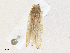  ( - CBG-A36757-F02)  @11 [ ] CreativeCommons - Attribution Share - Alike (2024) CBG Photography Group Centre for Biodiversity Genomics