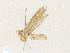  ( - CBG-A36759-B07)  @11 [ ] CreativeCommons - Attribution Share - Alike (2024) CBG Photography Group Centre for Biodiversity Genomics