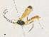  ( - CBG-A36849-G02)  @11 [ ] CreativeCommons - Attribution Share - Alike (2024) CBG Photography Group Centre for Biodiversity Genomics