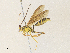  ( - CBG-A34315-E06)  @11 [ ] CreativeCommons - Attribution Share - Alike (2024) CBG Photography Group Centre for Biodiversity Genomics