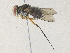  ( - CBG-A34315-F04)  @11 [ ] CreativeCommons - Attribution Share - Alike (2024) CBG Photography Group Centre for Biodiversity Genomics