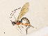  ( - CBG-A35175-H07)  @11 [ ] CreativeCommons - Attribution Share - Alike (2024) CBG Photography Group Centre for Biodiversity Genomics