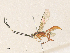  ( - CBG-A35175-H08)  @11 [ ] CreativeCommons - Attribution Share - Alike (2024) CBG Photography Group Centre for Biodiversity Genomics
