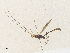  ( - CBG-A35177-B06)  @11 [ ] CreativeCommons - Attribution Share - Alike (2024) CBG Photography Group Centre for Biodiversity Genomics