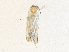  ( - CBG-A36759-C01)  @11 [ ] CreativeCommons - Attribution Share - Alike (2024) CBG Photography Group Centre for Biodiversity Genomics
