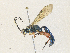  ( - CBG-A36759-D02)  @11 [ ] CreativeCommons - Attribution Share - Alike (2024) CBG Photography Group Centre for Biodiversity Genomics