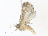  ( - CBG-A36828-C10)  @11 [ ] CreativeCommons - Attribution Share - Alike (2024) CBG Photography Group Centre for Biodiversity Genomics