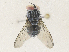  ( - CBG-A36833-C07)  @11 [ ] CreativeCommons - Attribution Share - Alike (2024) CBG Photography Group Centre for Biodiversity Genomics