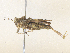 ( - CBG-A34358-H07)  @11 [ ] CreativeCommons - Attribution Share - Alike (2024) CBG Photography Group Centre for Biodiversity Genomics
