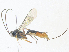  ( - CBG-A34359-E11)  @11 [ ] CreativeCommons - Attribution Share - Alike (2024) CBG Photography Group Centre for Biodiversity Genomics
