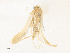  ( - CBG-A38478-G08)  @11 [ ] CreativeCommons - Attribution Share - Alike (2024) CBG Photography Group Centre for Biodiversity Genomics