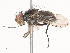  ( - CBG-A38479-B01)  @11 [ ] CreativeCommons - Attribution Share - Alike (2024) CBG Photography Group Centre for Biodiversity Genomics