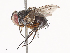 ( - CBG-A38479-C06)  @11 [ ] CreativeCommons - Attribution Share - Alike (2024) CBG Photography Group Centre for Biodiversity Genomics