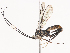  ( - CBG-A38480-D10)  @11 [ ] CreativeCommons - Attribution Share - Alike (2024) CBG Photography Group Centre for Biodiversity Genomics