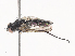  ( - CBG-A38482-D04)  @11 [ ] CreativeCommons - Attribution Share - Alike (2024) CBG Photography Group Centre for Biodiversity Genomics