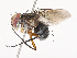  ( - CBG-A40185-B10)  @11 [ ] CreativeCommons - Attribution Share - Alike (2024) CBG Photography Group Centre for Biodiversity Genomics