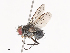  ( - CBG-A40185-B11)  @11 [ ] CreativeCommons - Attribution Share - Alike (2024) CBG Photography Group Centre for Biodiversity Genomics