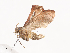 ( - CBG-A40185-E10)  @11 [ ] CreativeCommons - Attribution Share - Alike (2024) CBG Photography Group Centre for Biodiversity Genomics