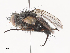  ( - CBG-A40185-G12)  @11 [ ] CreativeCommons - Attribution Share - Alike (2024) CBG Photography Group Centre for Biodiversity Genomics