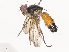  ( - CBG-A40185-H02)  @11 [ ] CreativeCommons - Attribution Share - Alike (2024) CBG Photography Group Centre for Biodiversity Genomics