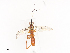  ( - CBG-A40186-F04)  @11 [ ] CreativeCommons - Attribution Share - Alike (2024) CBG Photography Group Centre for Biodiversity Genomics