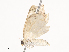  ( - CBG-A40187-F09)  @11 [ ] CreativeCommons - Attribution Share - Alike (2024) CBG Photography Group Centre for Biodiversity Genomics