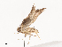  ( - CBG-A40187-H09)  @11 [ ] CreativeCommons - Attribution Share - Alike (2024) CBG Photography Group Centre for Biodiversity Genomics