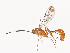  ( - CBG-A40188-C09)  @11 [ ] CreativeCommons - Attribution Share - Alike (2024) CBG Photography Group Centre for Biodiversity Genomics