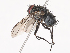  ( - CBG-A40188-D12)  @11 [ ] CreativeCommons - Attribution Share - Alike (2024) CBG Photography Group Centre for Biodiversity Genomics