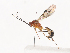  ( - CBG-A40188-F06)  @11 [ ] CreativeCommons - Attribution Share - Alike (2024) CBG Photography Group Centre for Biodiversity Genomics