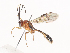  ( - CBG-A40188-G07)  @11 [ ] CreativeCommons - Attribution Share - Alike (2024) CBG Photography Group Centre for Biodiversity Genomics