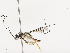  ( - CBG-A40189-C10)  @11 [ ] CreativeCommons - Attribution Share - Alike (2024) CBG Photography Group Centre for Biodiversity Genomics
