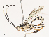  ( - CBG-A40189-D02)  @11 [ ] CreativeCommons - Attribution Share - Alike (2024) CBG Photography Group Centre for Biodiversity Genomics
