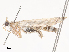  ( - CBG-A38519-E05)  @11 [ ] CreativeCommons - Attribution Share - Alike (2024) CBG Photography Group Centre for Biodiversity Genomics
