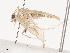  ( - CBG-A38520-F06)  @11 [ ] CreativeCommons - Attribution Share - Alike (2024) CBG Photography Group Centre for Biodiversity Genomics