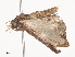  ( - CBG-A40201-C02)  @11 [ ] CreativeCommons - Attribution Share - Alike (2024) CBG Photography Group Centre for Biodiversity Genomics