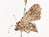  ( - CBG-A40202-D07)  @11 [ ] CreativeCommons - Attribution Share - Alike (2024) CBG Photography Group Centre for Biodiversity Genomics