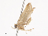  ( - CBG-A40202-D11)  @11 [ ] CreativeCommons - Attribution Share - Alike (2024) CBG Photography Group Centre for Biodiversity Genomics