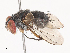  ( - CBG-A40203-C05)  @11 [ ] CreativeCommons - Attribution Share - Alike (2024) CBG Photography Group Centre for Biodiversity Genomics