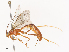  ( - CBG-A40203-H01)  @11 [ ] CreativeCommons - Attribution Share - Alike (2024) CBG Photography Group Centre for Biodiversity Genomics